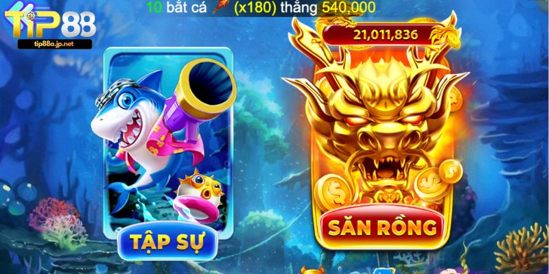 Kinh nghiệm chơi Bắn cá TIP88 hiệu quả